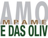 Logo A.M.O. 